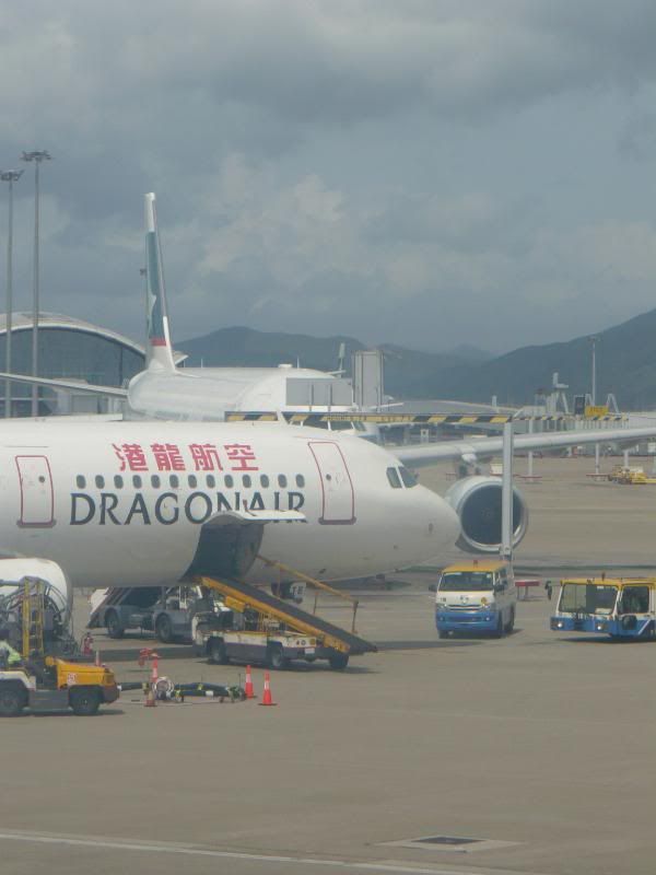 P1000338.jpg