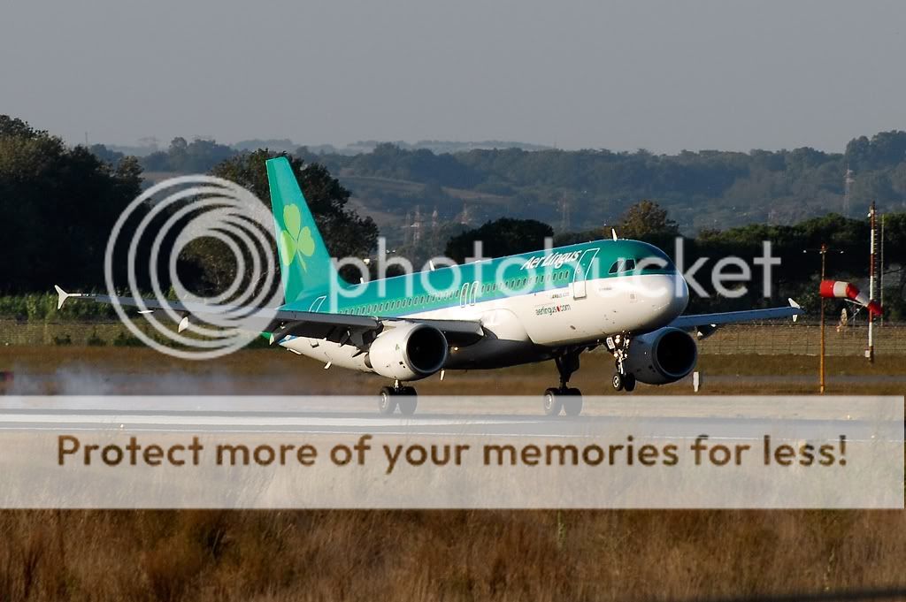 _D205691.jpg