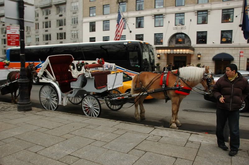 DSC_8375.jpg