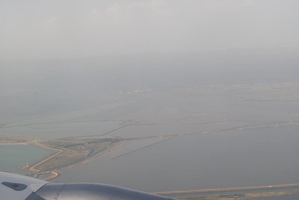 DSC_0263.jpg