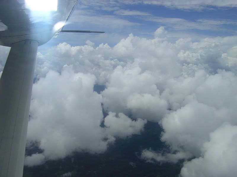 IMGP0954.jpg