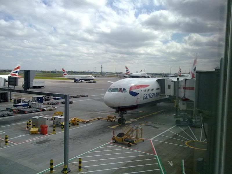 10052010019.jpg
