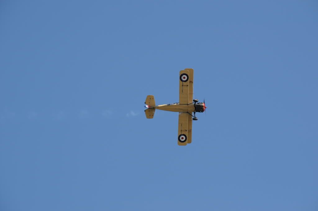 DSC_0256.jpg