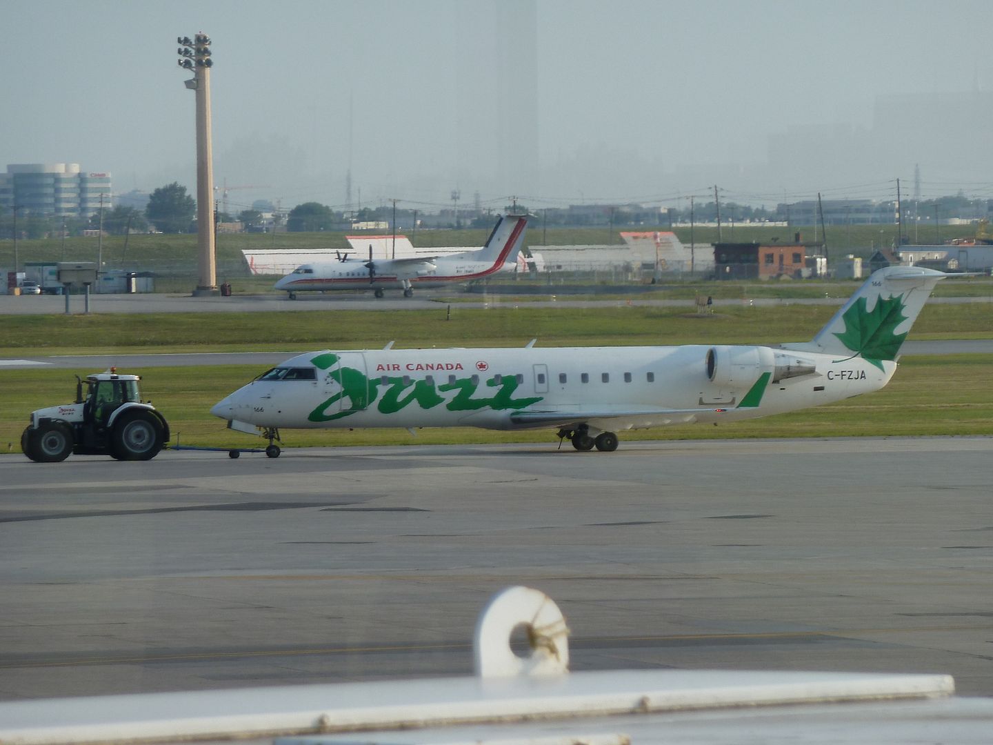 P1010131.jpg