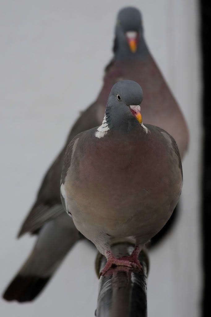 IMG_7633.jpg