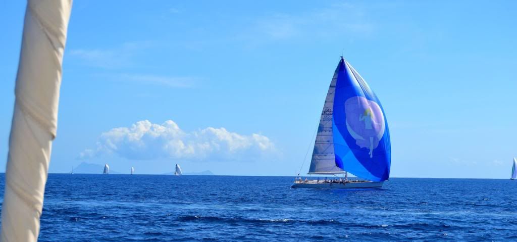 DSC_0232.jpg