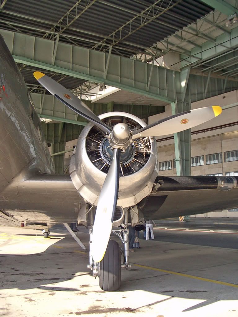 IMGP2625.jpg