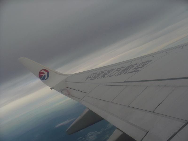 P1000964.jpg