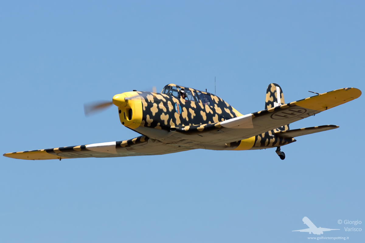 _MG_0527_280615.jpg
