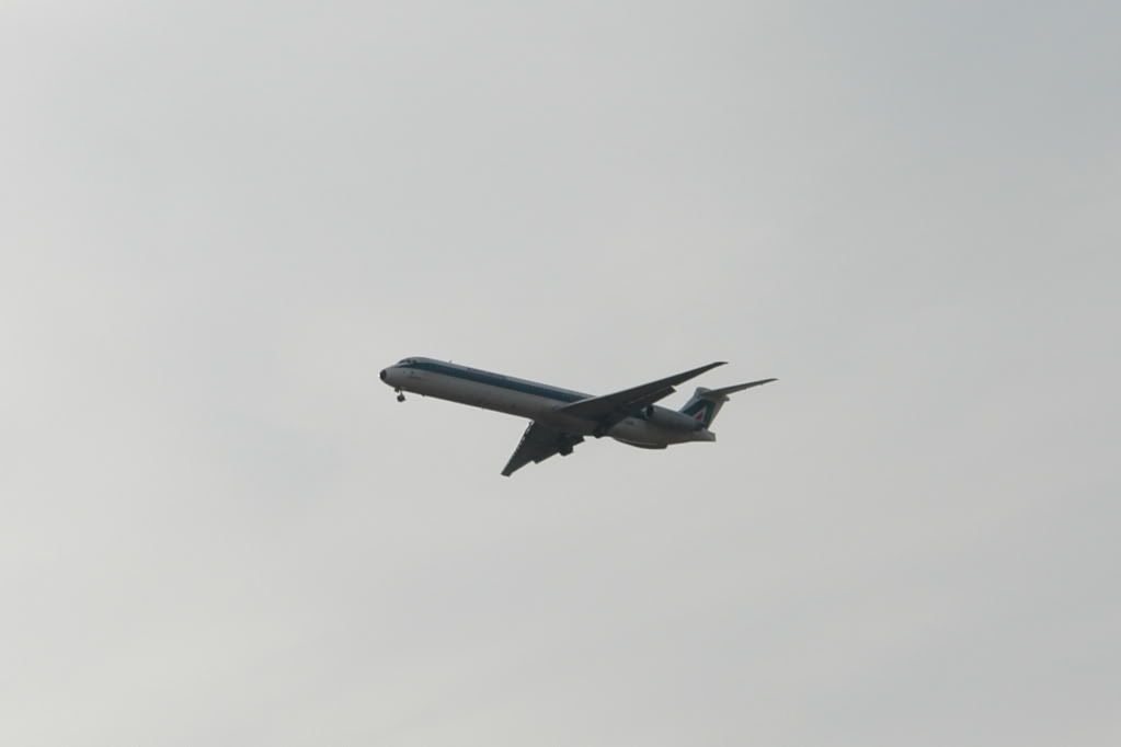 DSC02035.jpg