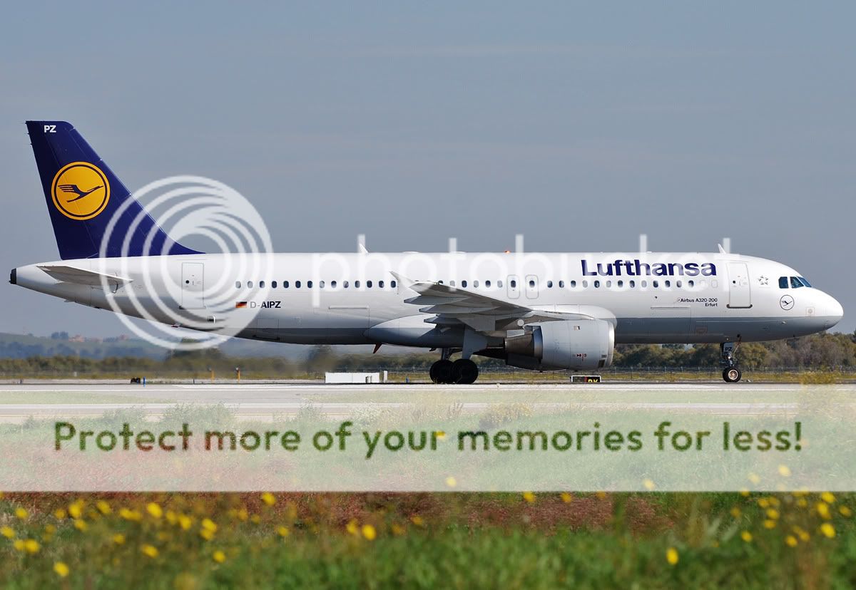 D-AIPZ.jpg