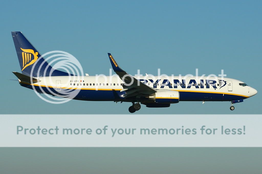 EI-DYHBlq0812.jpg