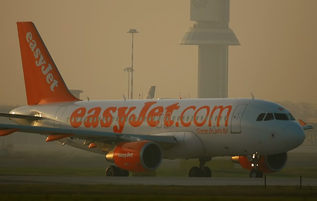 650.jpg
