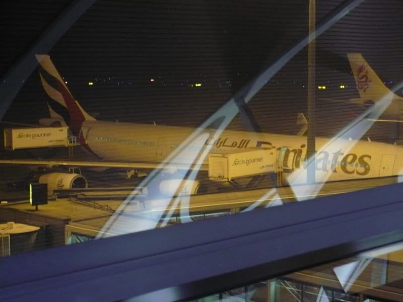 P1020117.jpg