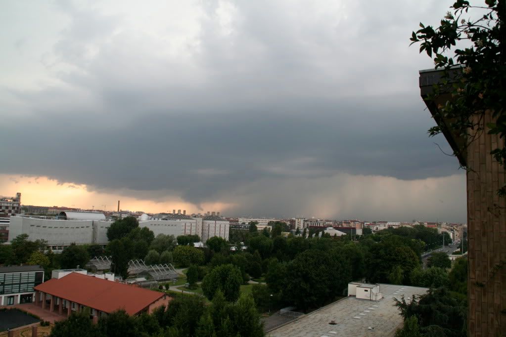 IMG_2756.jpg