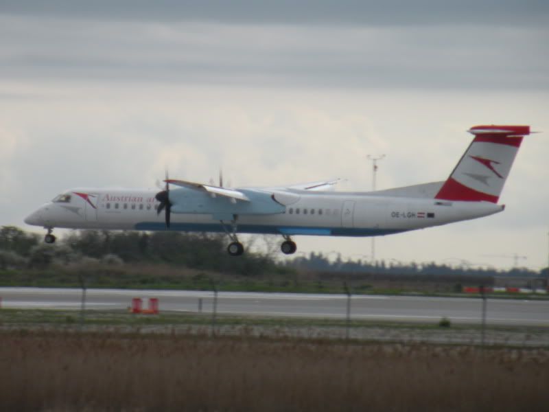 DSCN4582.jpg