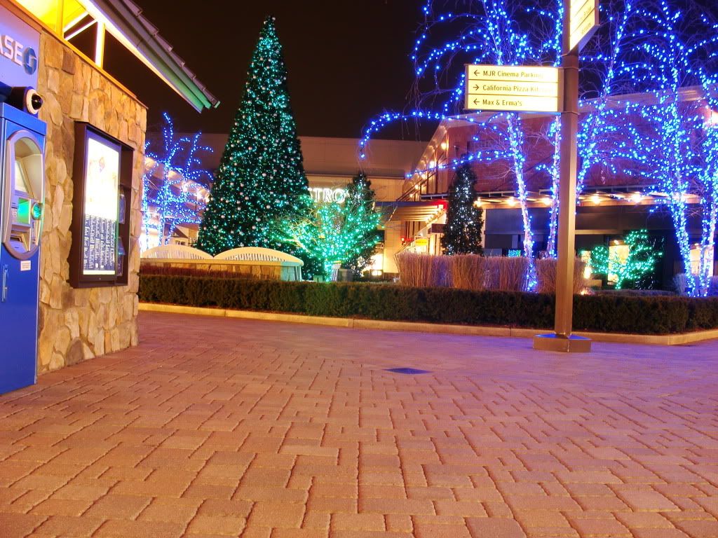 DSC09966.jpg