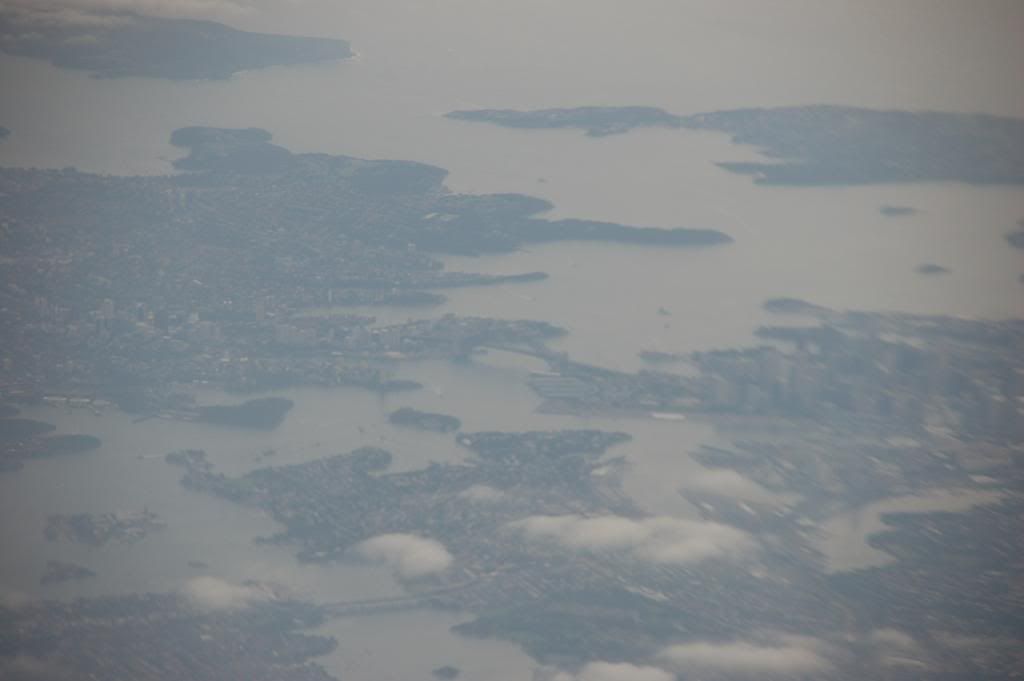 DSC_0461.jpg