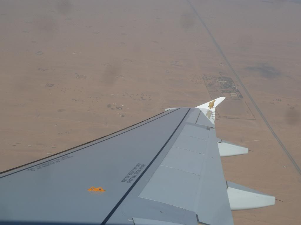 P1190155.jpg