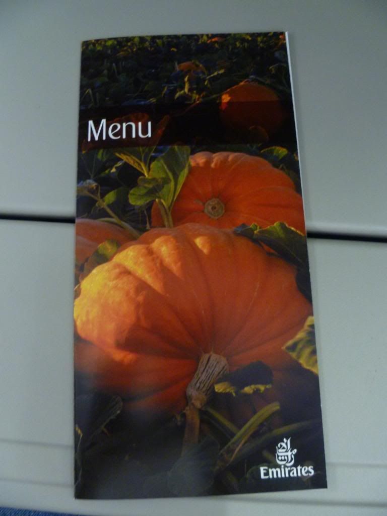 P1040967_zps56e08e34.jpg