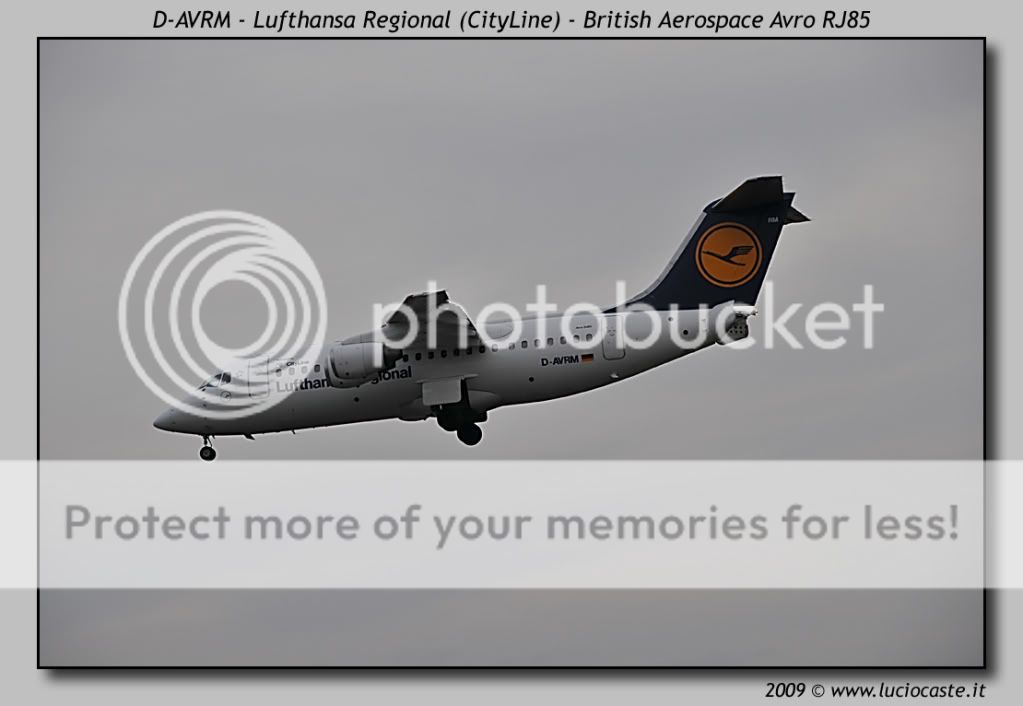 D-AVRM.jpg