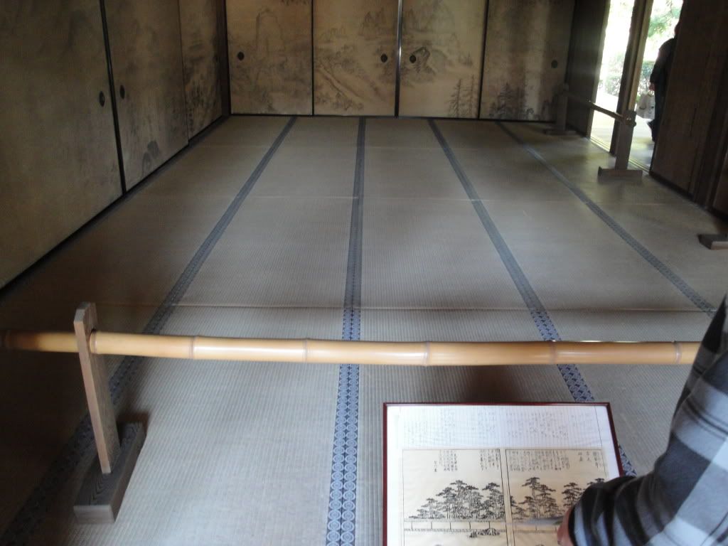 DSC01528.jpg