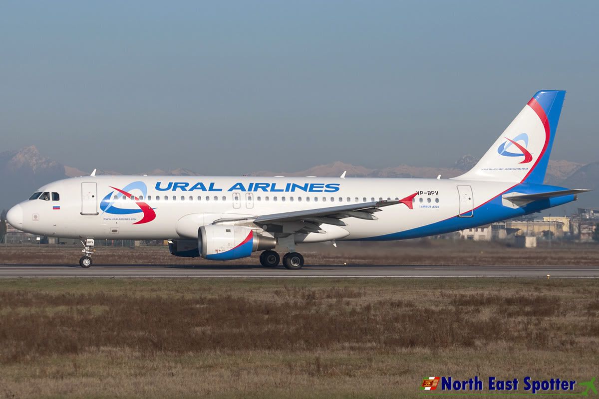 VP-BPV_19-02-11_VRN.jpg