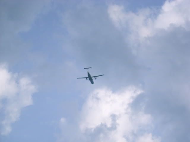 IMG_0100.jpg