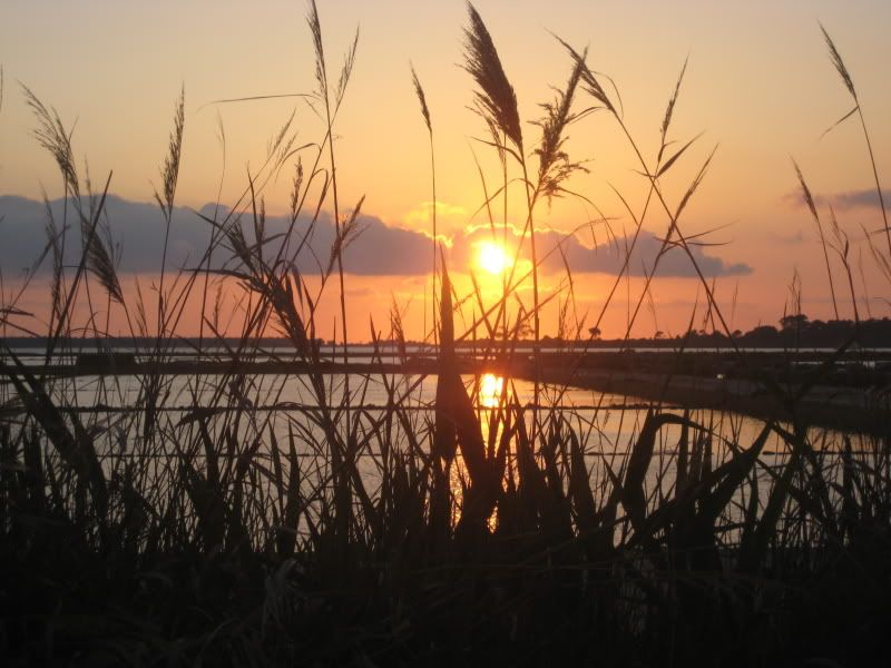 IMG_3385.jpg