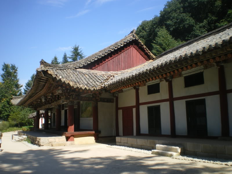 IMGP5786.jpg