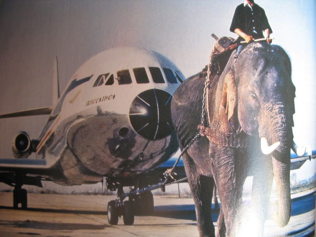 camboprox041.jpg
