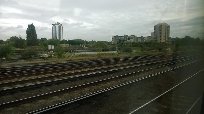 29312328730_180b032039_c.jpg
