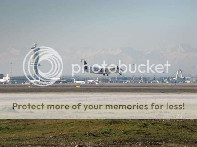 IMG_1015.jpg
