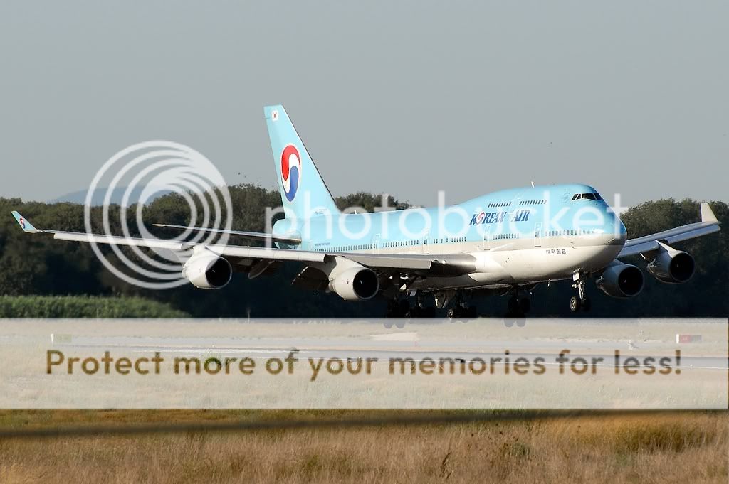 _D205583.jpg