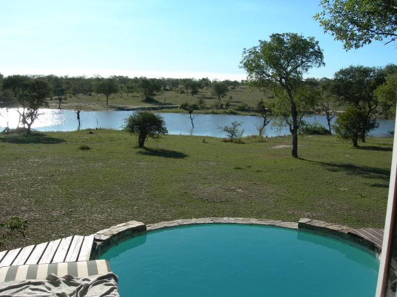 DSCN7979.jpg