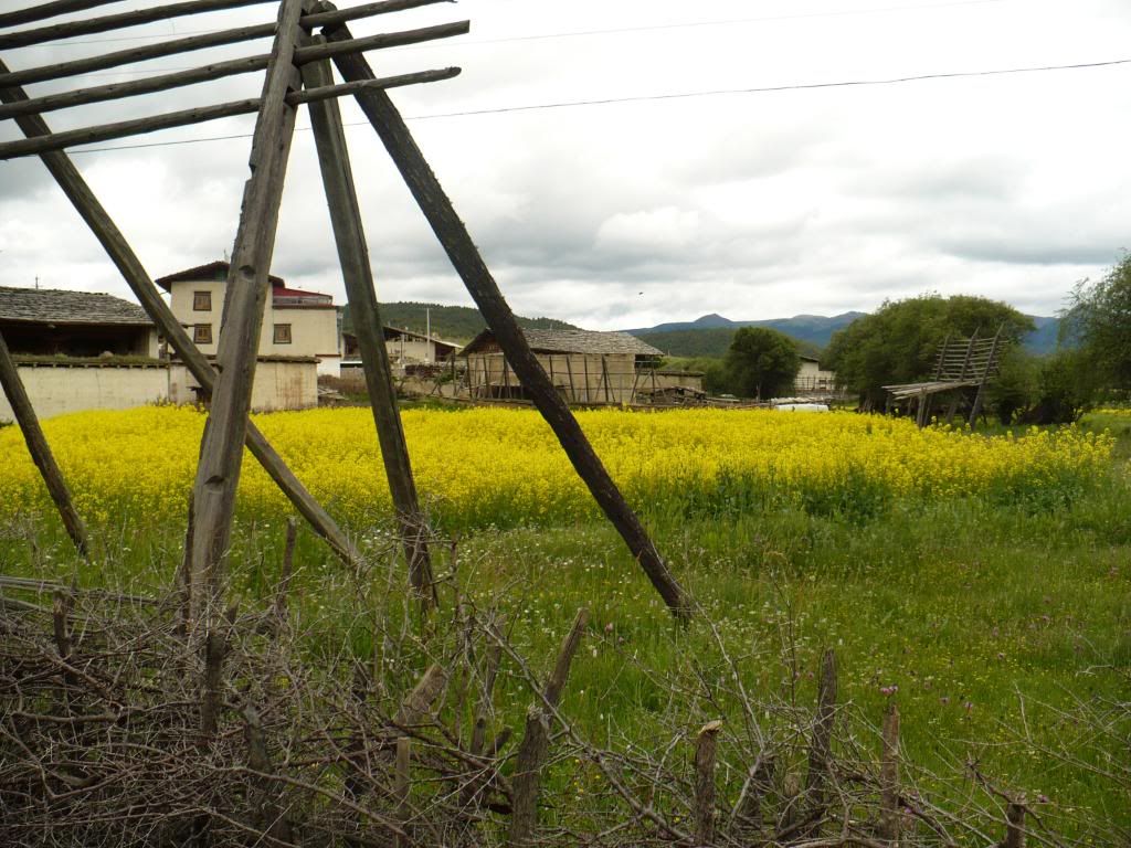 P1010289.jpg