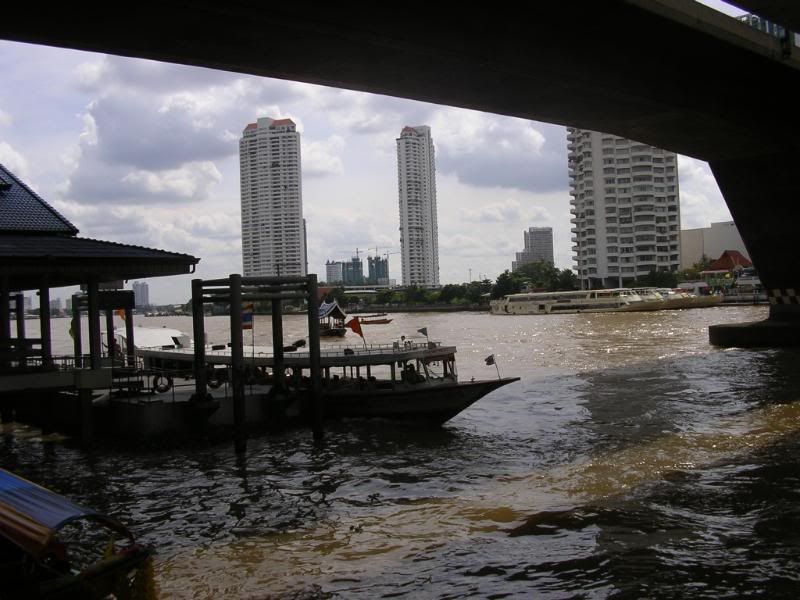 IMGP0337.jpg