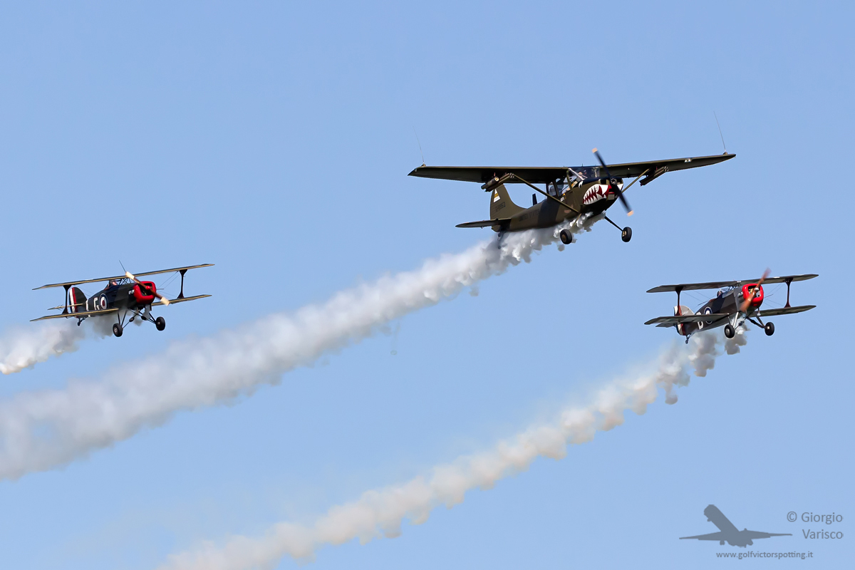 _MG_3195_260622.jpg