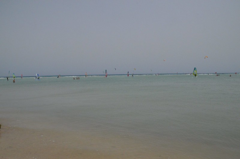 43644135724_cfc24c2571_c.jpg