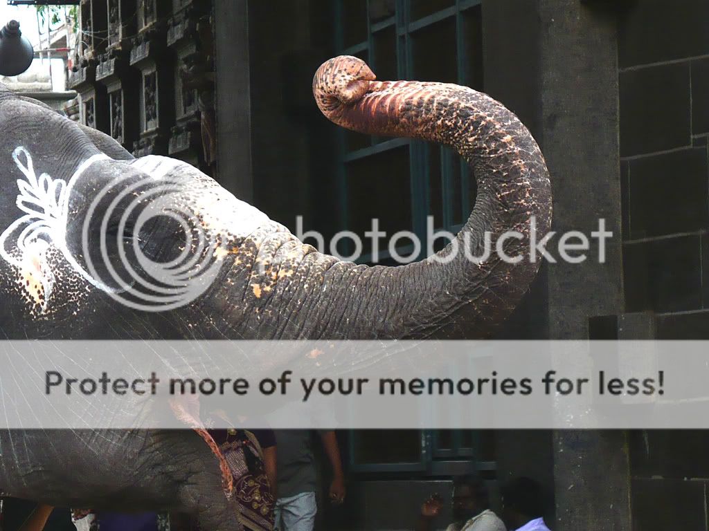 india2008939.jpg
