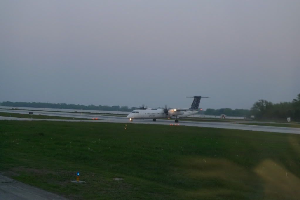 L1010693.jpg