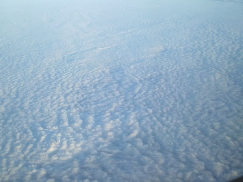 PB040273.jpg