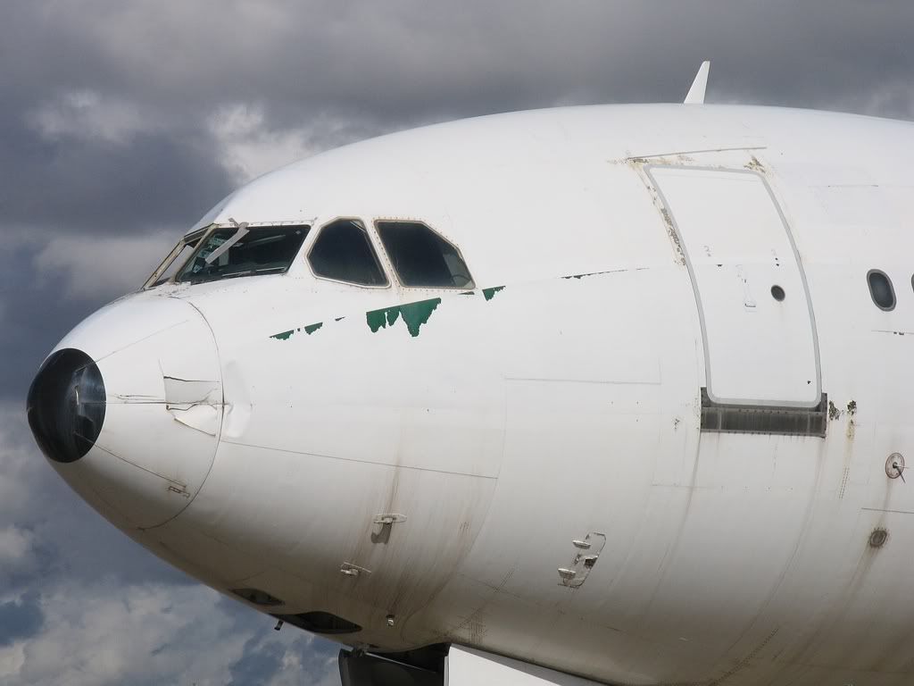 A300FCO_04.jpg