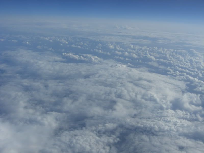 CIMG7273.jpg