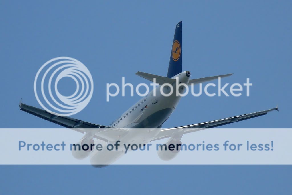 D-ANKG.jpg