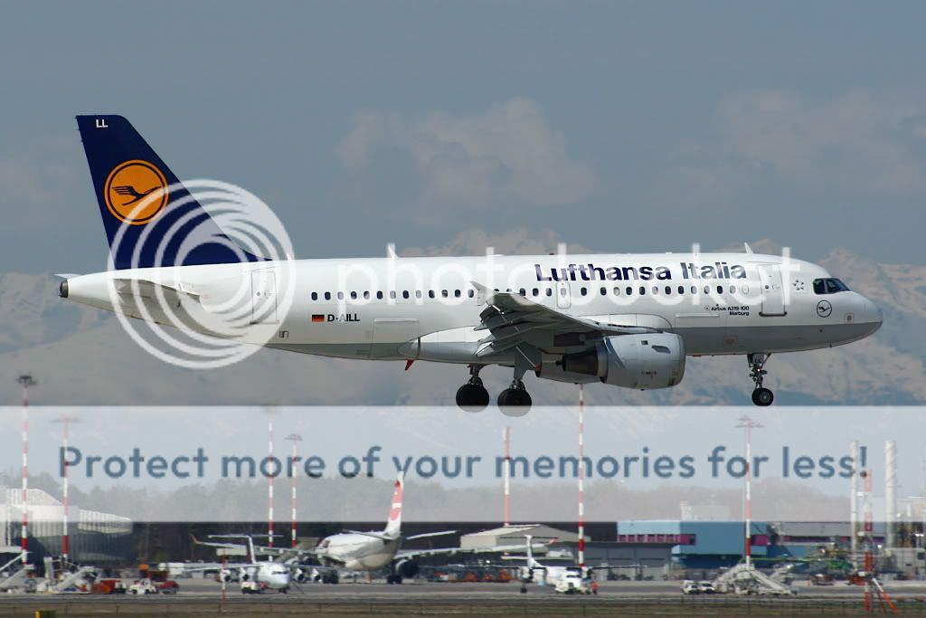 D-AILLMxp0404a.jpg