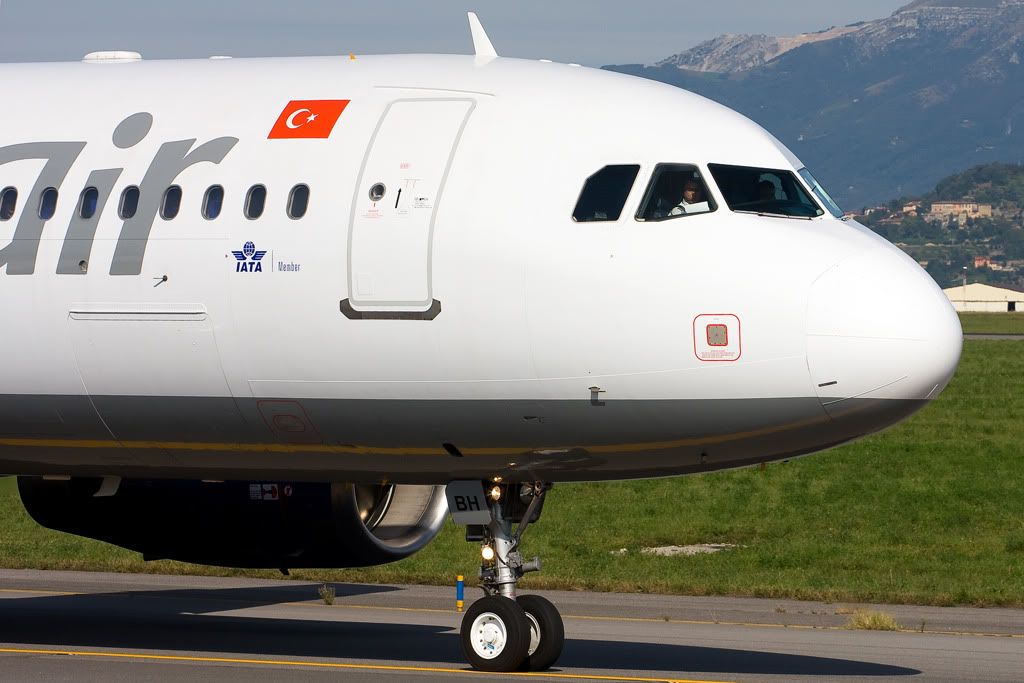 TC-OBHb.jpg