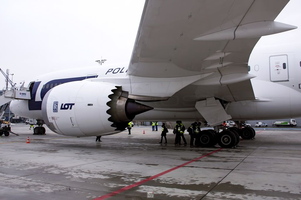 787_UnterflgelBS.jpg