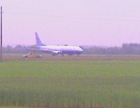 737.jpg