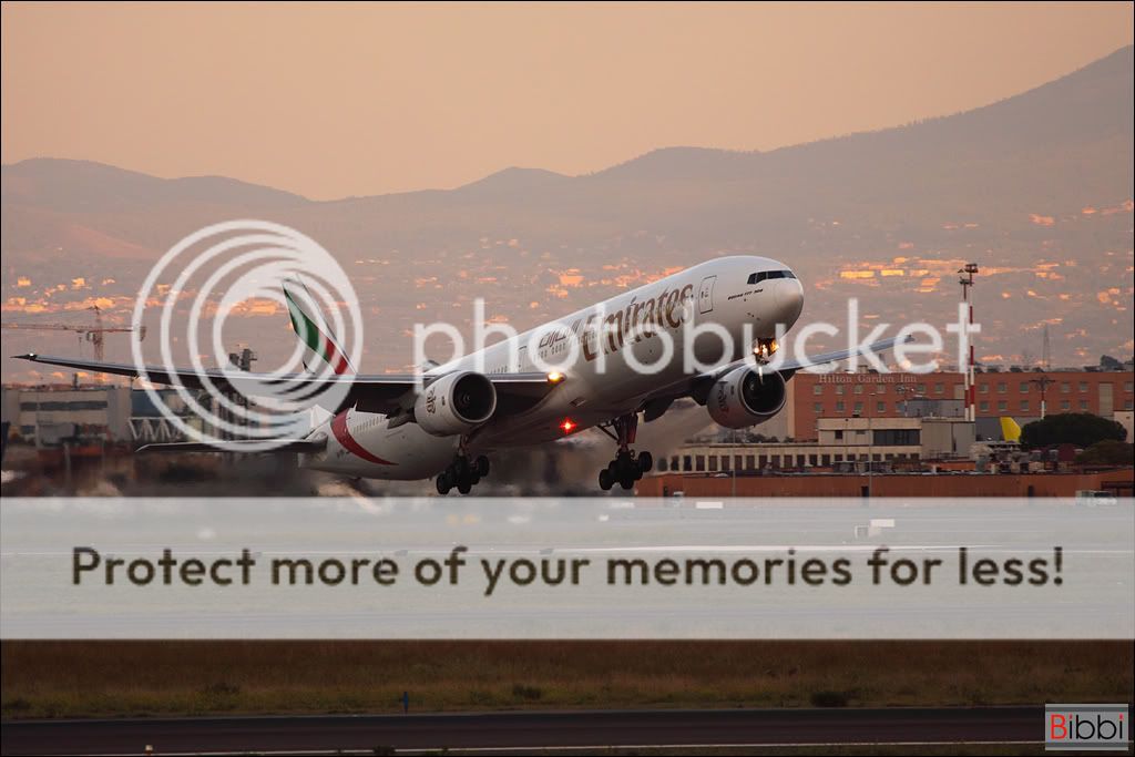 025_emirates__bibbi.jpg